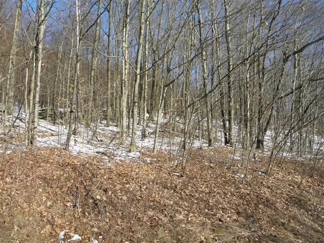 $29,999 | 0 County Highway, Fly Creek, NY 13337