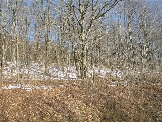 $29,999 | 0 County Highway, Fly Creek, NY 13337