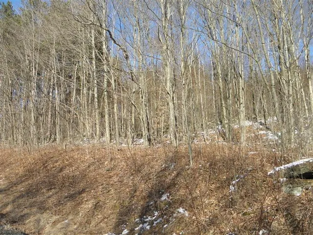 $29,999 | 0 County Highway, Fly Creek, NY 13337