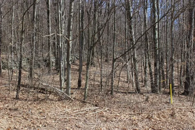 $29,999 | 0 County Highway, Fly Creek, NY 13337