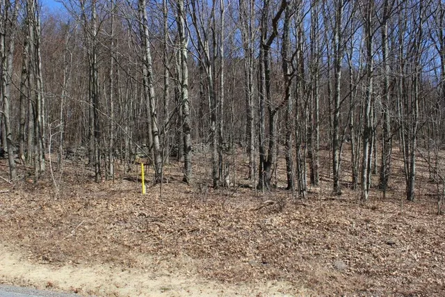 $29,999 | 0 County Highway, Fly Creek, NY 13337