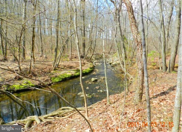 1429 Wolftrap Run Road Vienna, VA 22182 - Photo 29 of 30 Exterior RearParkland stream