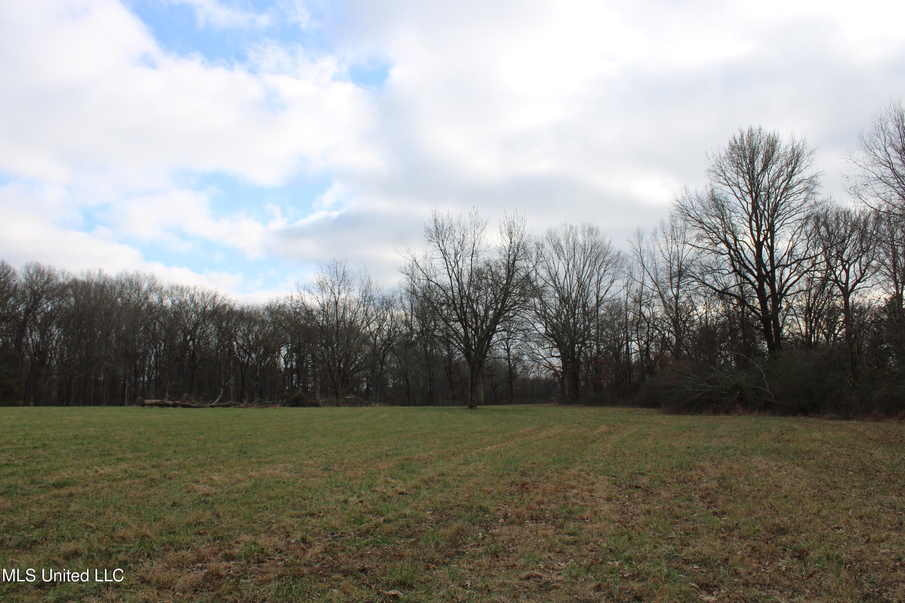 2001 West Oak Grove Road Hernando, MS 38632 - Photo 11 of 44 IMG_5400