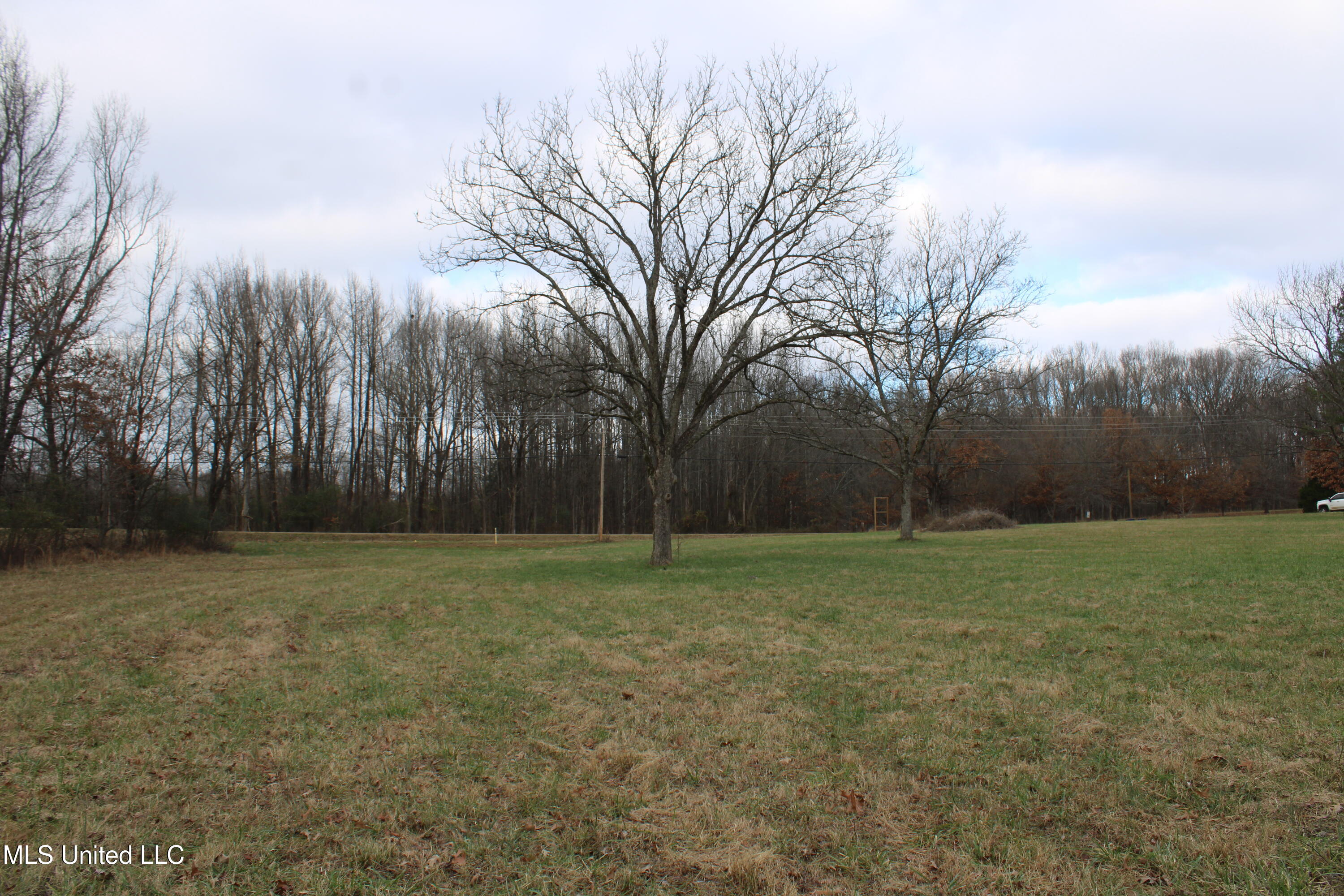 2001 West Oak Grove Road Hernando, MS 38632 - Photo 12 of 44 IMG_5401