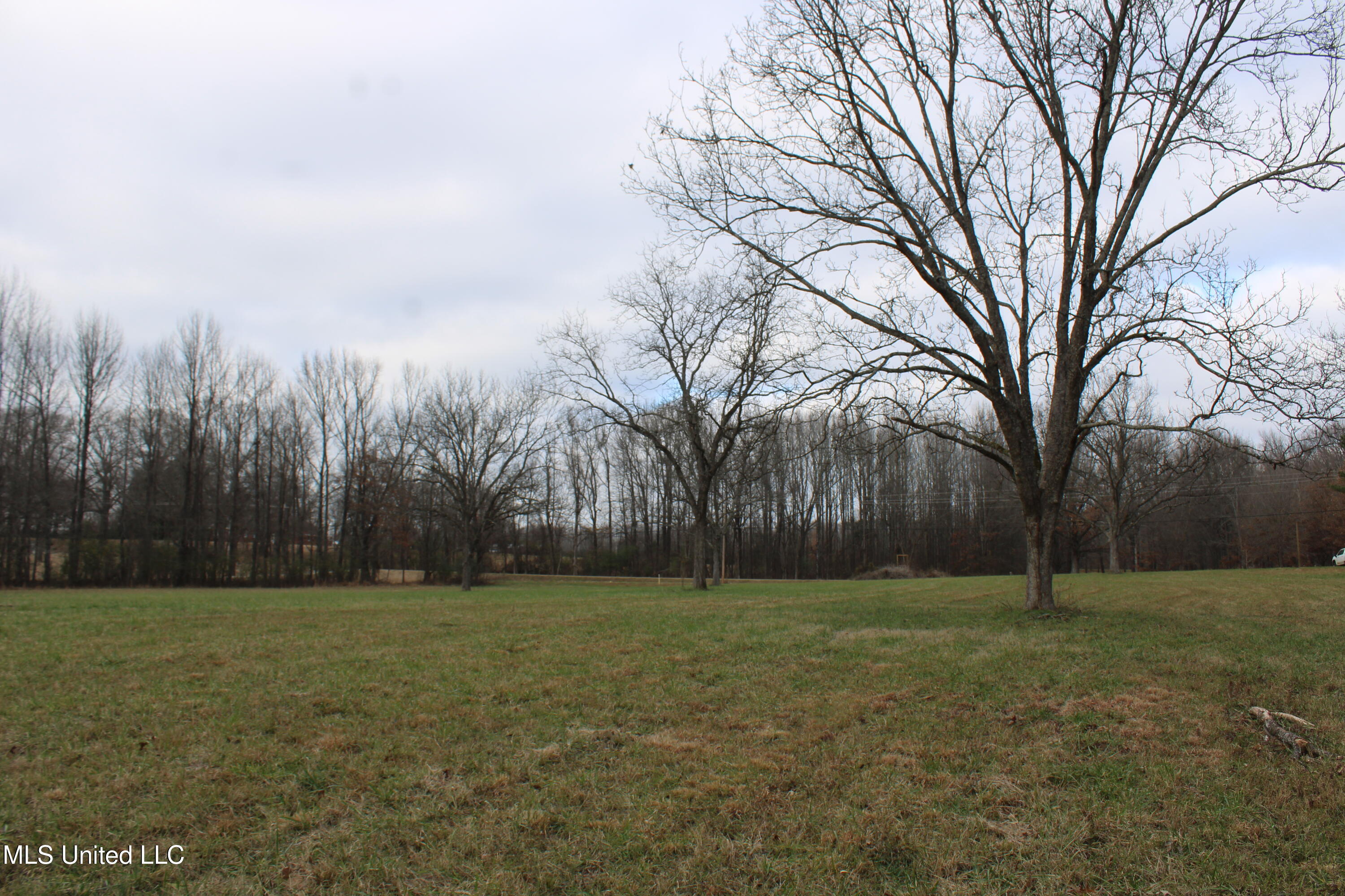 2001 West Oak Grove Road Hernando, MS 38632 - Photo 13 of 44 IMG_5402