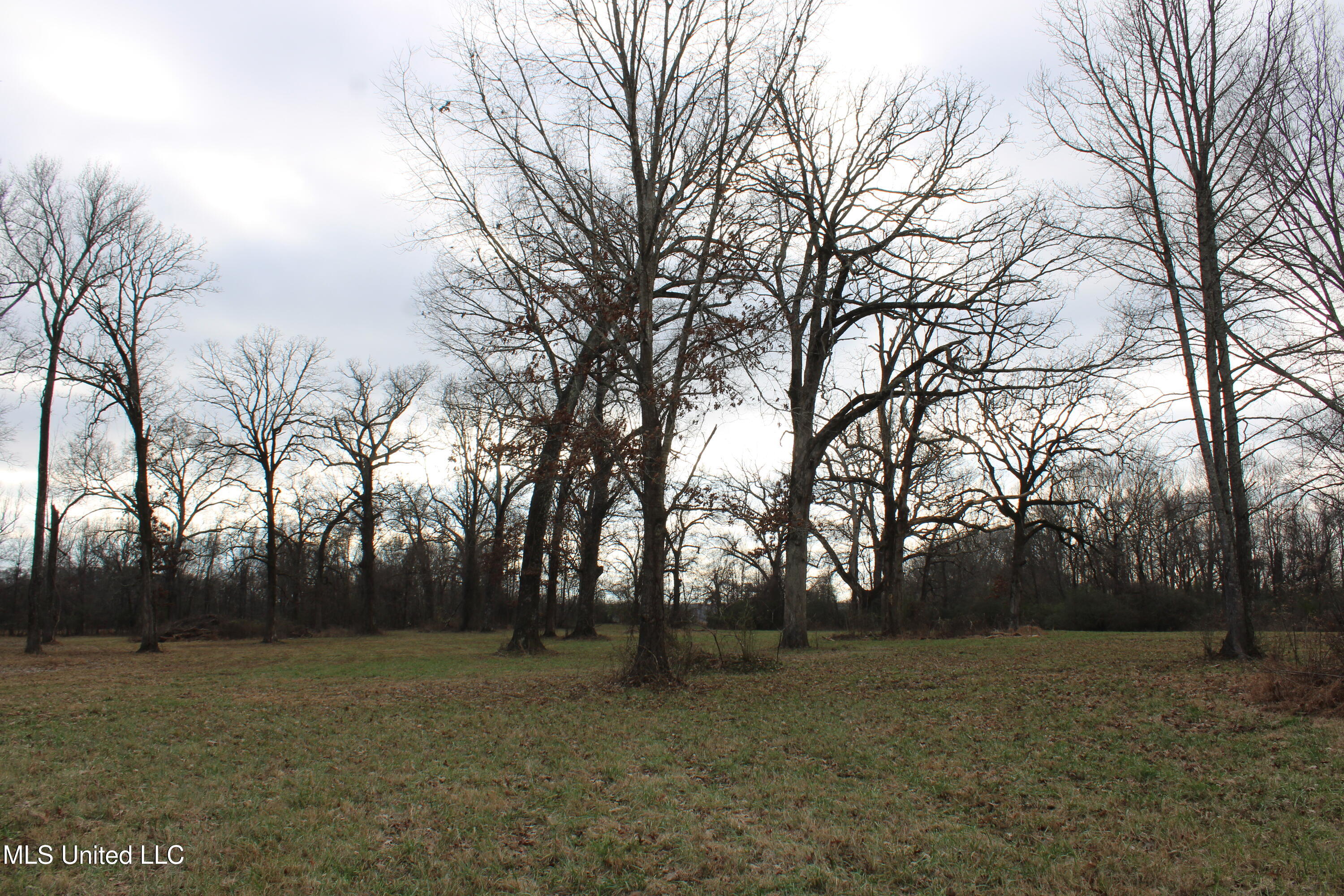 2001 West Oak Grove Road Hernando, MS 38632 - Photo 15 of 44 IMG_5404