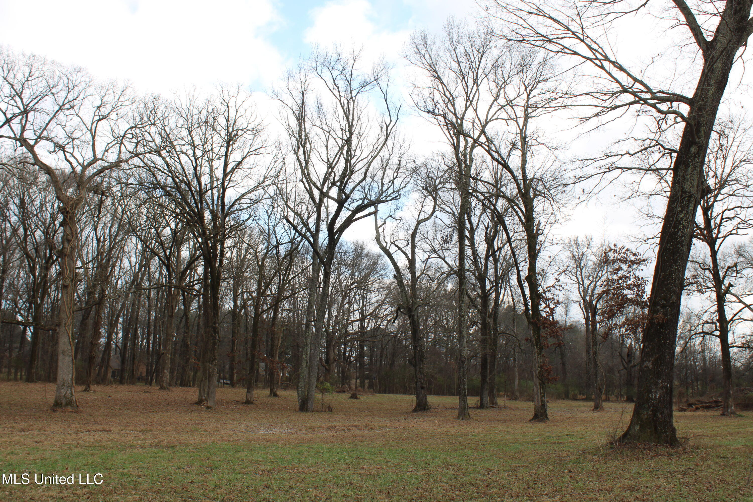 2001 West Oak Grove Road Hernando, MS 38632 - Photo 16 of 44 IMG_5405