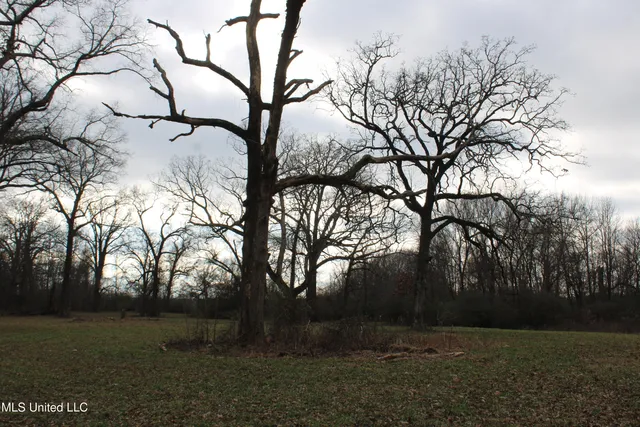 $665,000 | 2001 West Oak Grove Road, Hernando, MS 38632