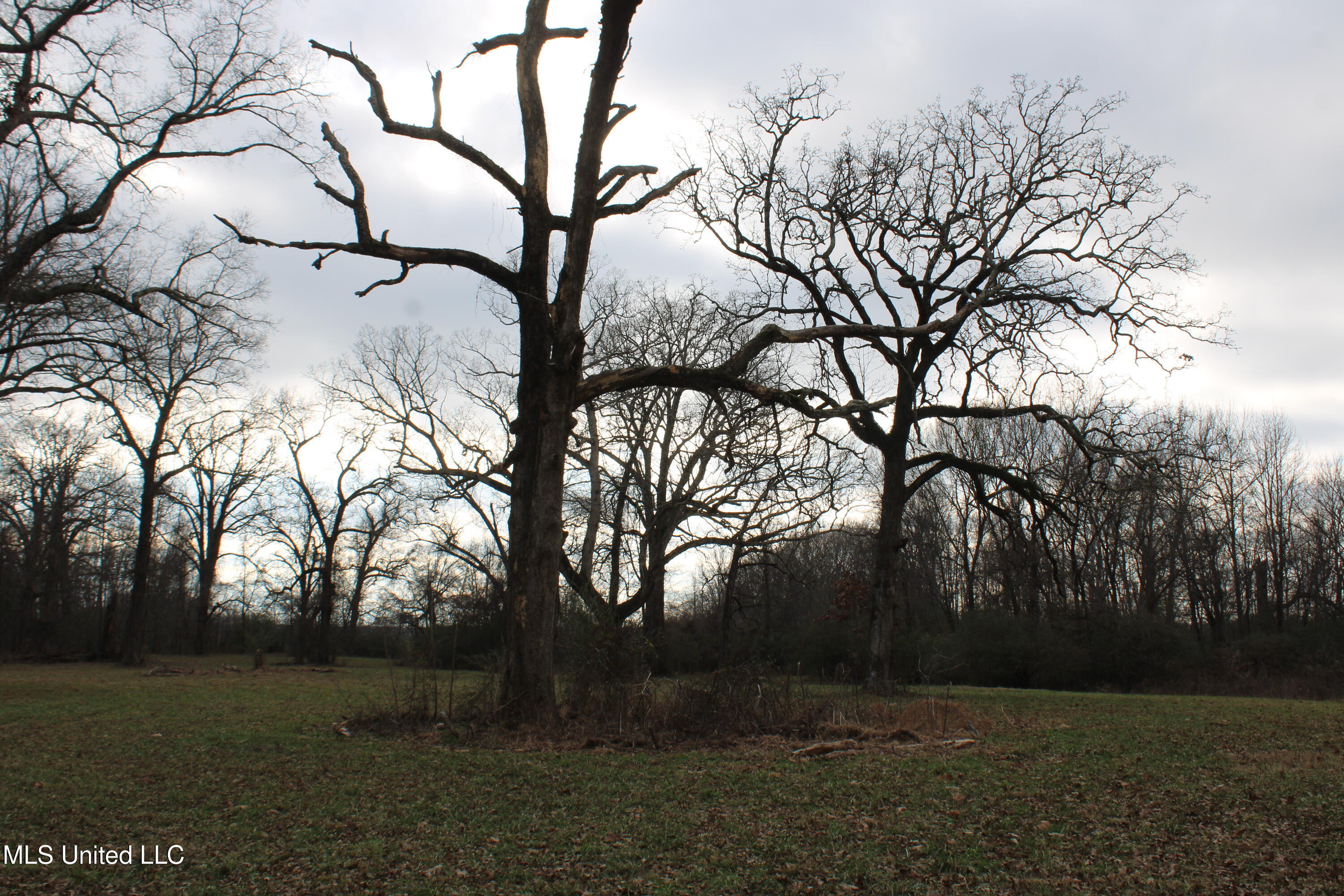 2001 West Oak Grove Road Hernando, MS 38632 - Photo 17 of 44 IMG_5406