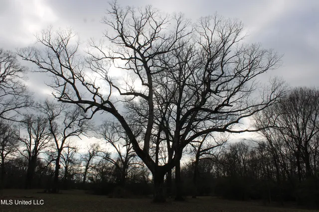 $665,000 | 2001 West Oak Grove Road, Hernando, MS 38632