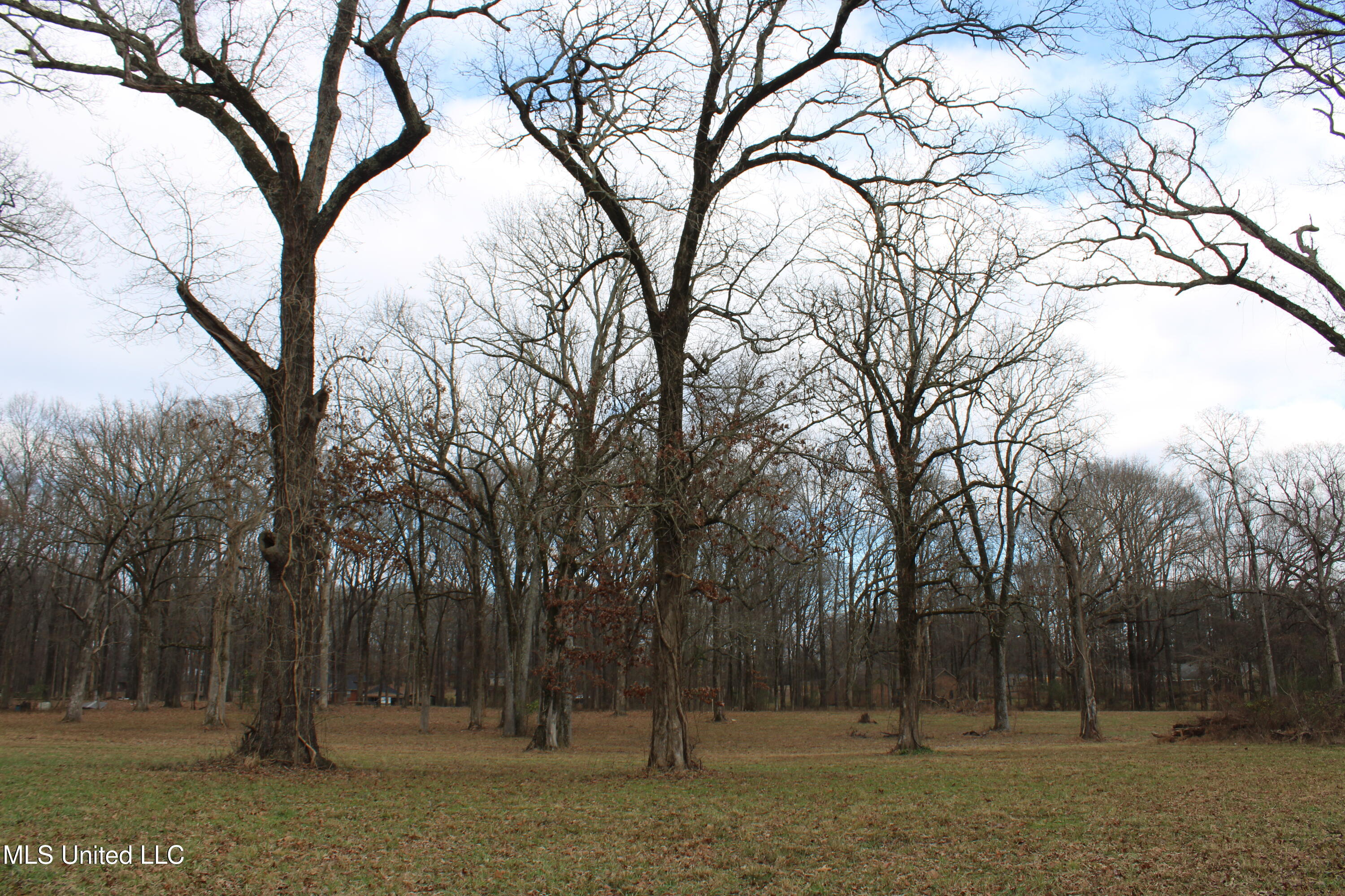 2001 West Oak Grove Road Hernando, MS 38632 - Photo 19 of 44 IMG_5409