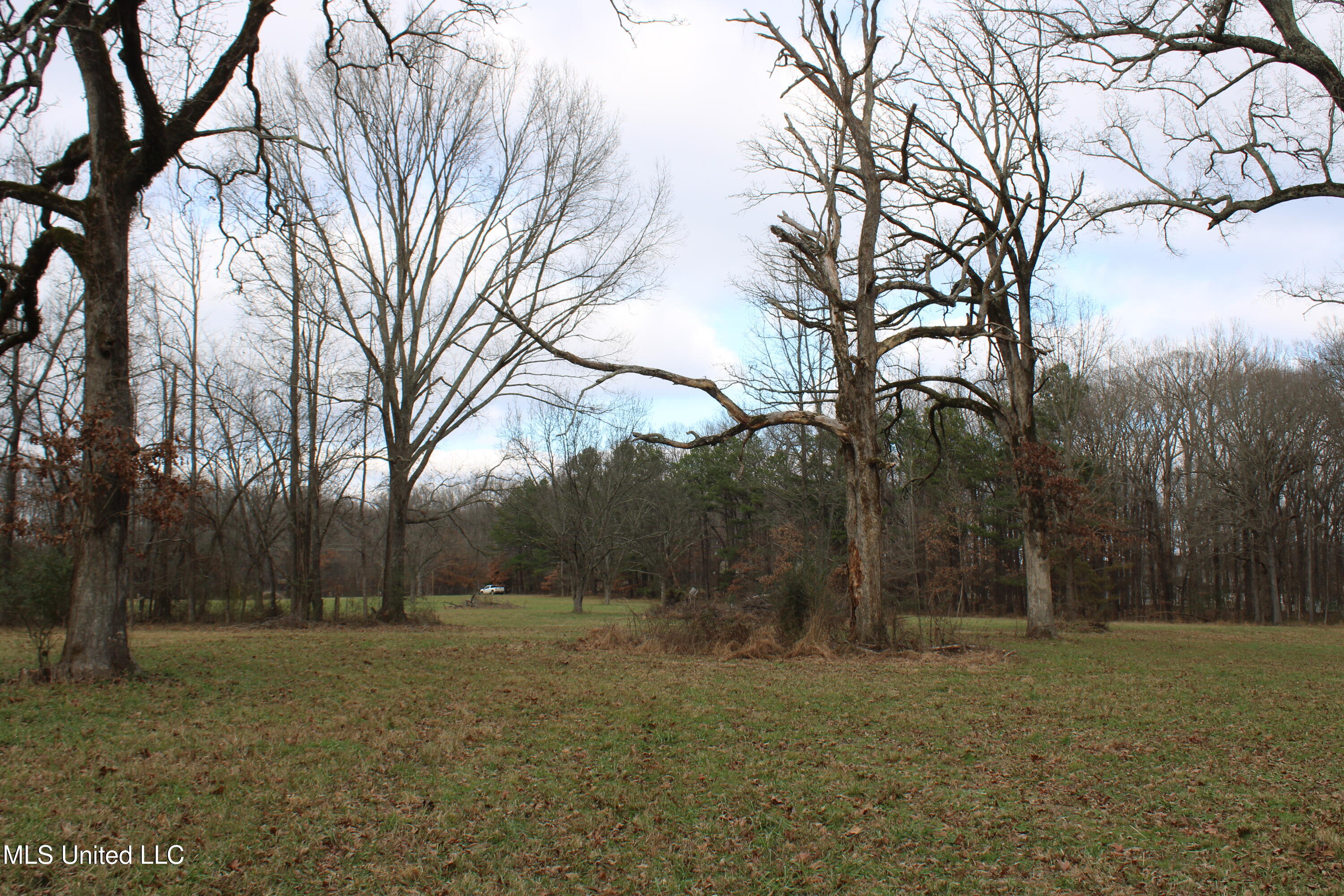 2001 West Oak Grove Road Hernando, MS 38632 - Photo 20 of 44 IMG_5410