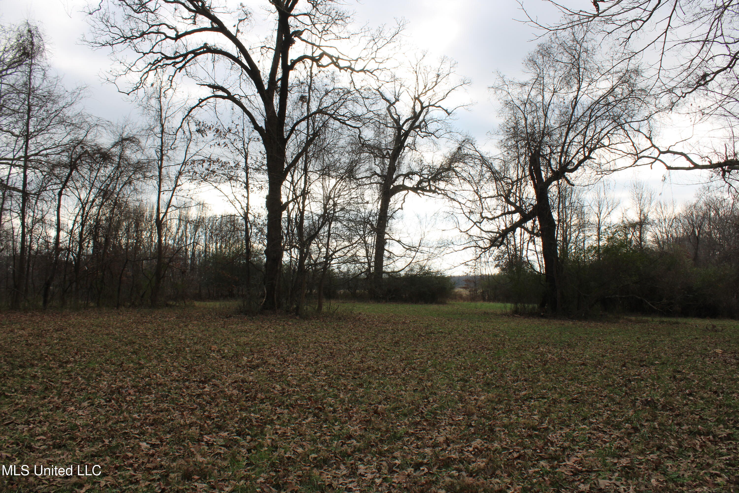 2001 West Oak Grove Road Hernando, MS 38632 - Photo 22 of 44 IMG_5412