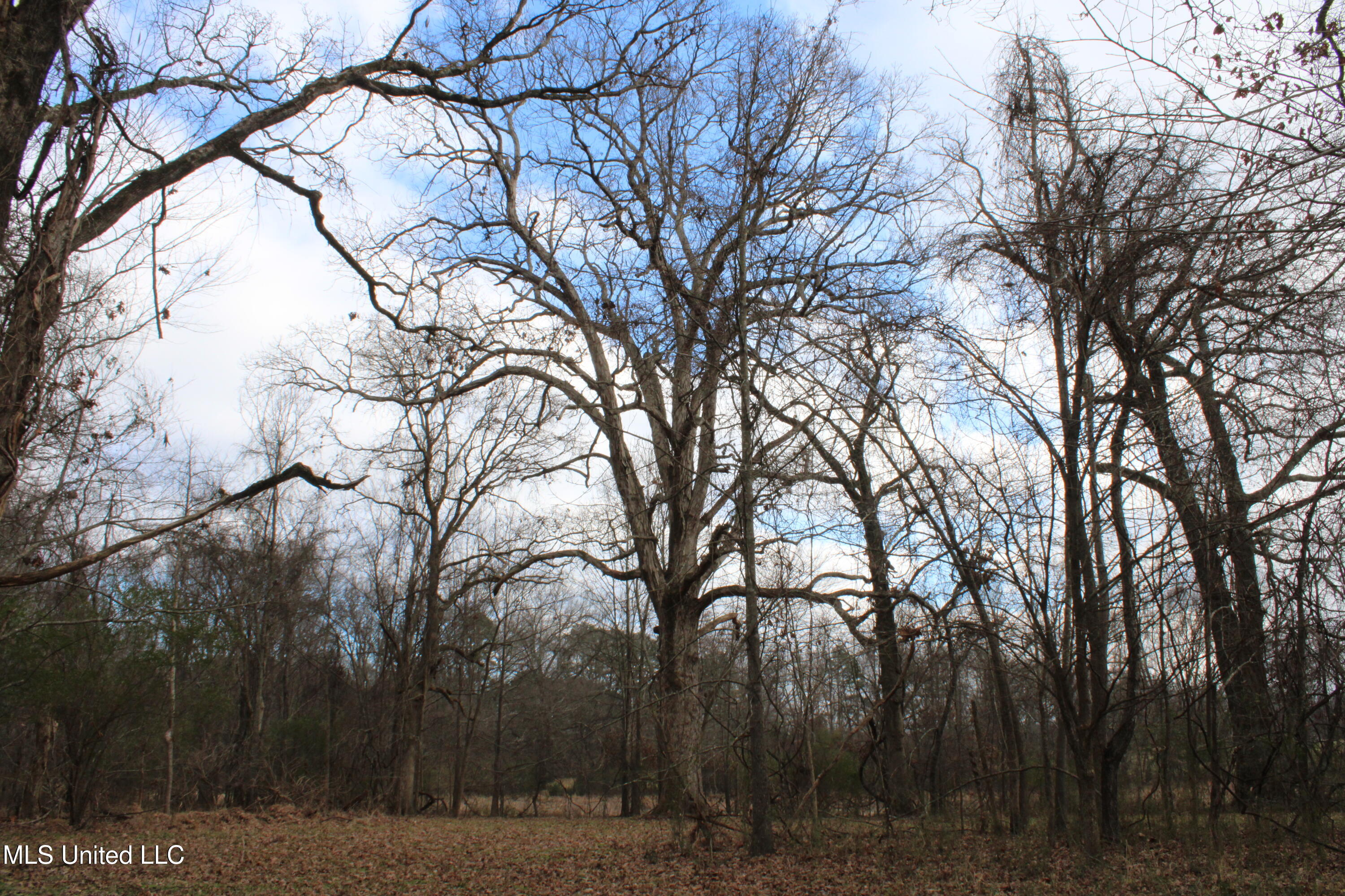 2001 West Oak Grove Road Hernando, MS 38632 - Photo 23 of 44 IMG_5414