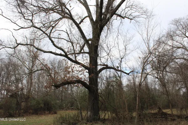 $665,000 | 2001 West Oak Grove Road, Hernando, MS 38632