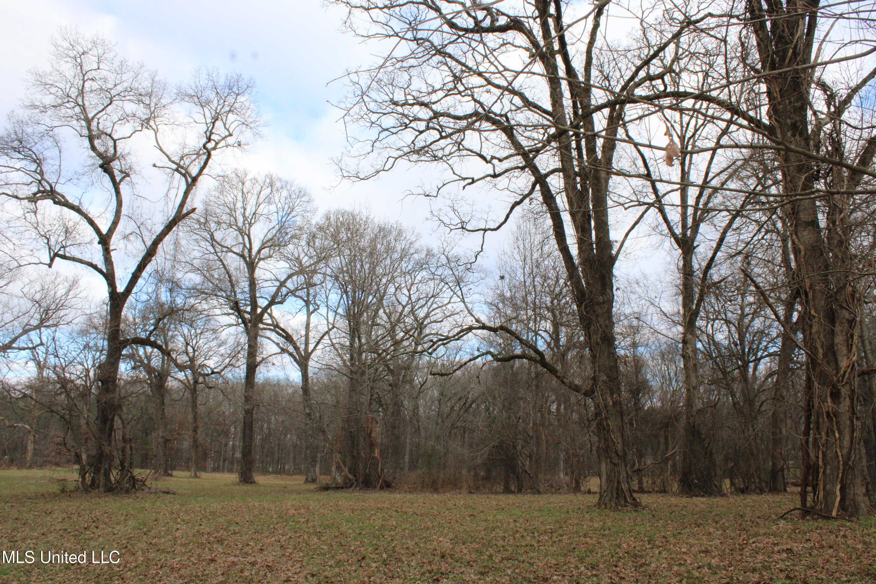 2001 West Oak Grove Road Hernando, MS 38632 - Photo 25 of 44 IMG_5416