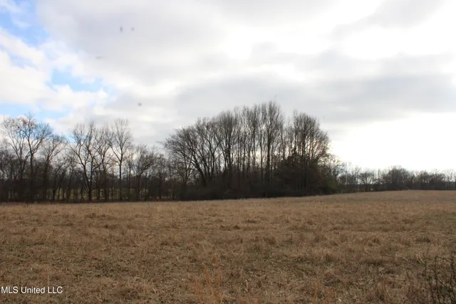 $665,000 | 2001 West Oak Grove Road, Hernando, MS 38632