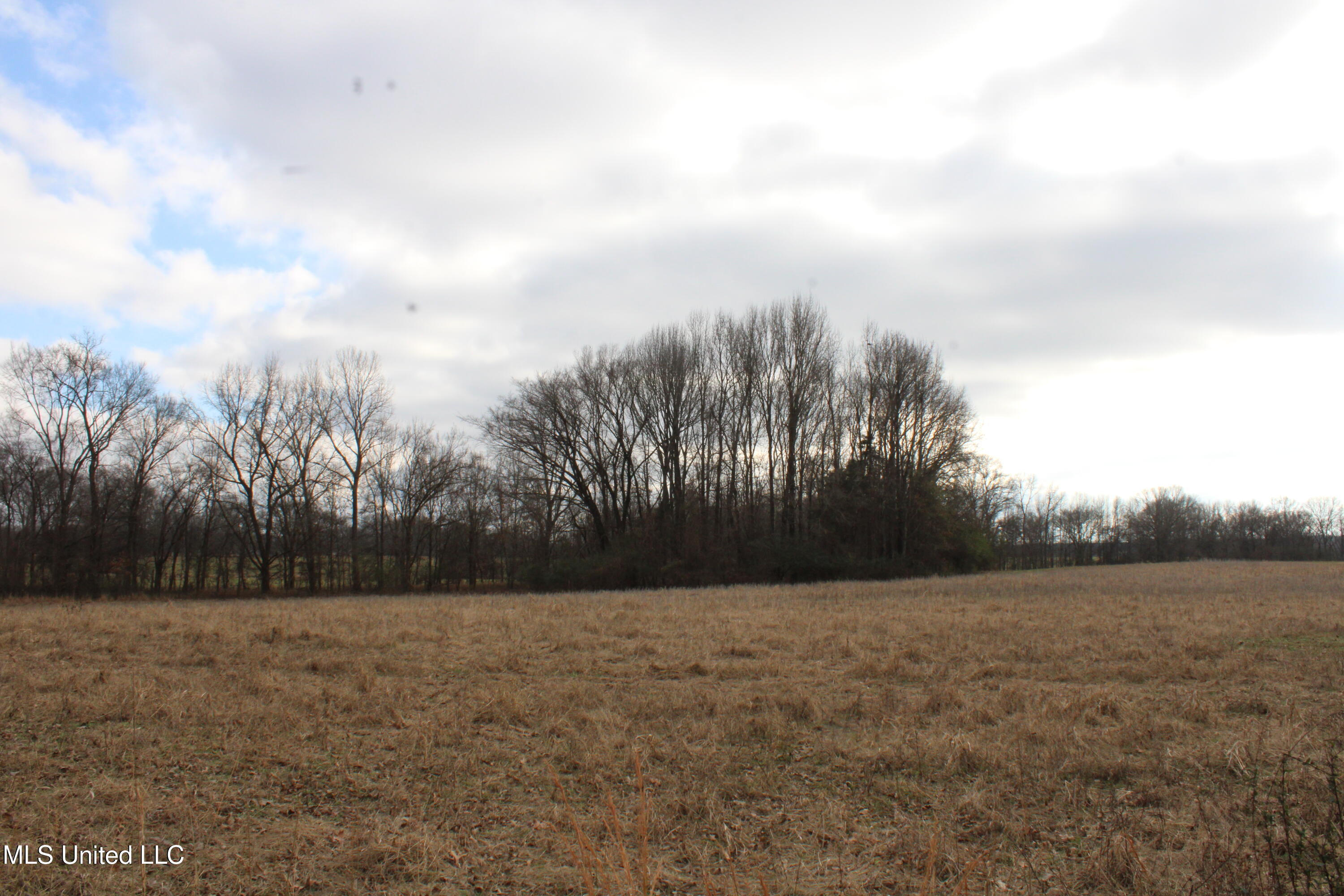 2001 West Oak Grove Road Hernando, MS 38632 - Photo 26 of 44 IMG_5417