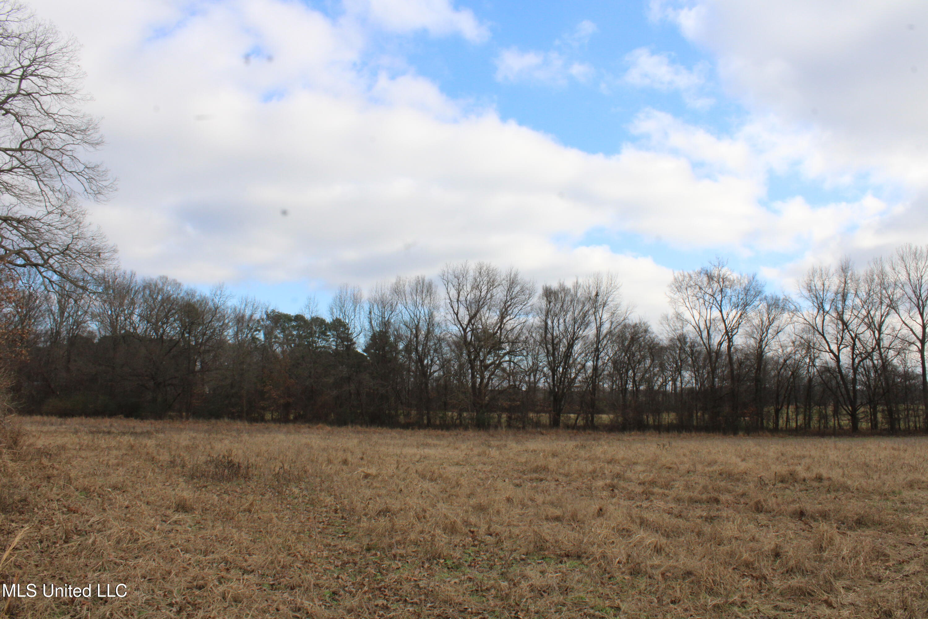 2001 West Oak Grove Road Hernando, MS 38632 - Photo 27 of 44 IMG_5418