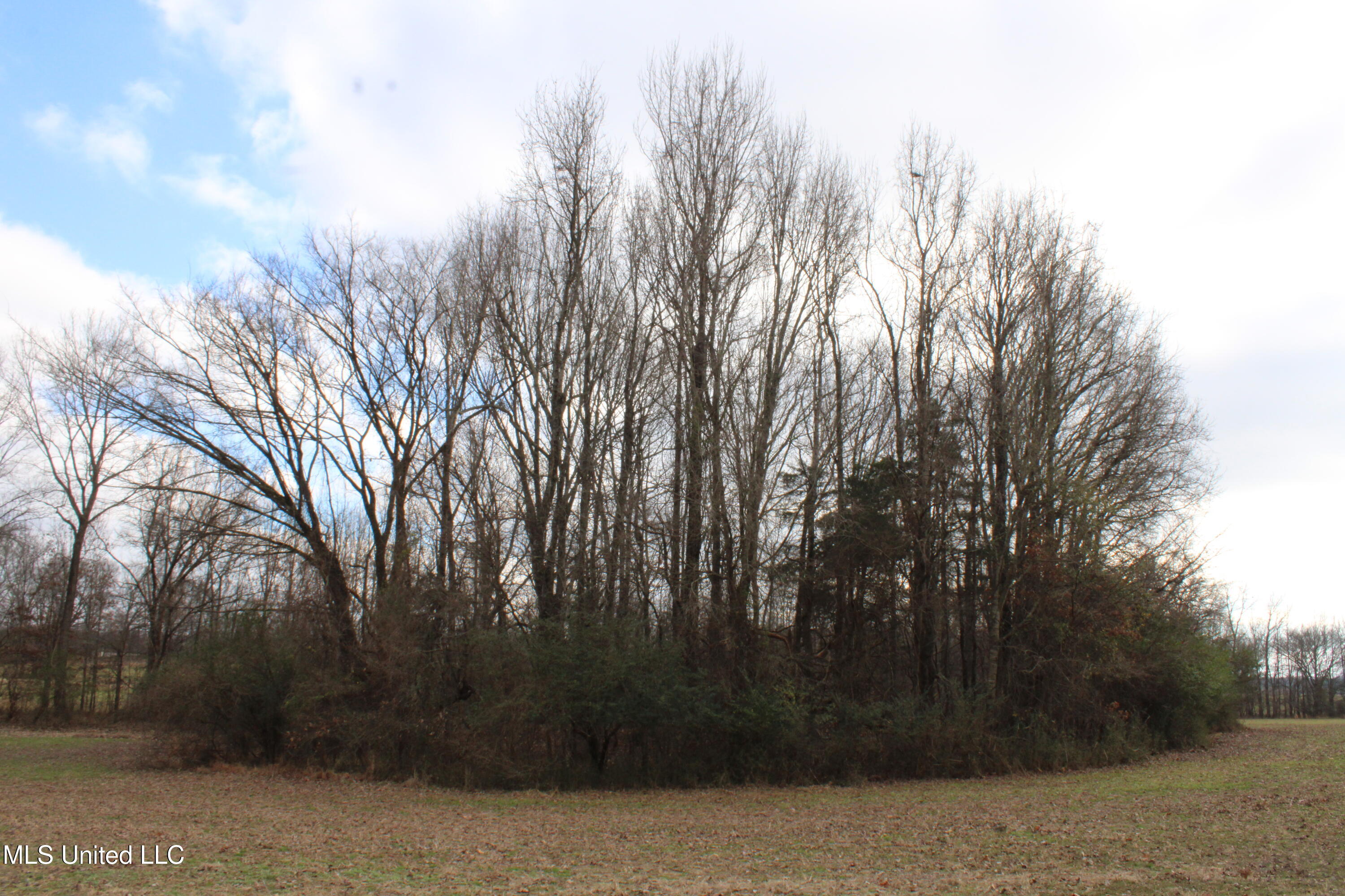 2001 West Oak Grove Road Hernando, MS 38632 - Photo 28 of 44 IMG_5419