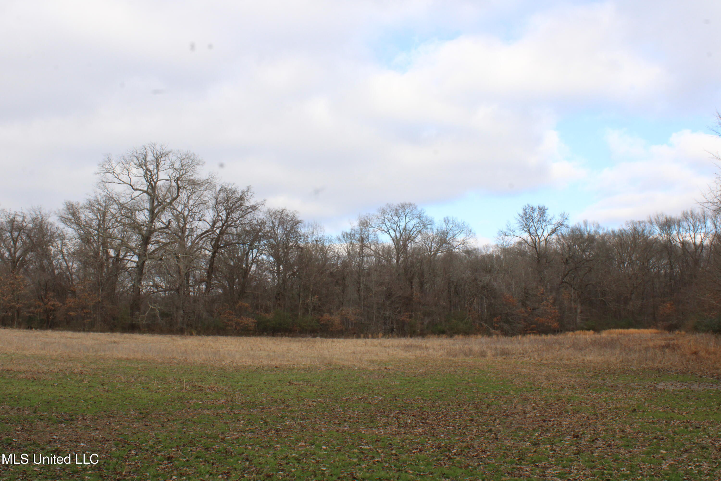 2001 West Oak Grove Road Hernando, MS 38632 - Photo 30 of 44 IMG_5421