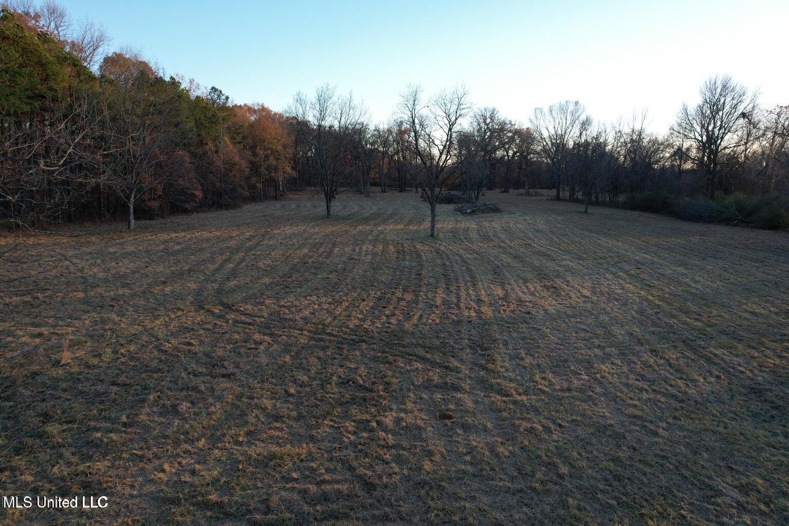 2001 West Oak Grove Road Hernando, MS 38632 - Photo 3 of 44 20231212154400962566000000-o