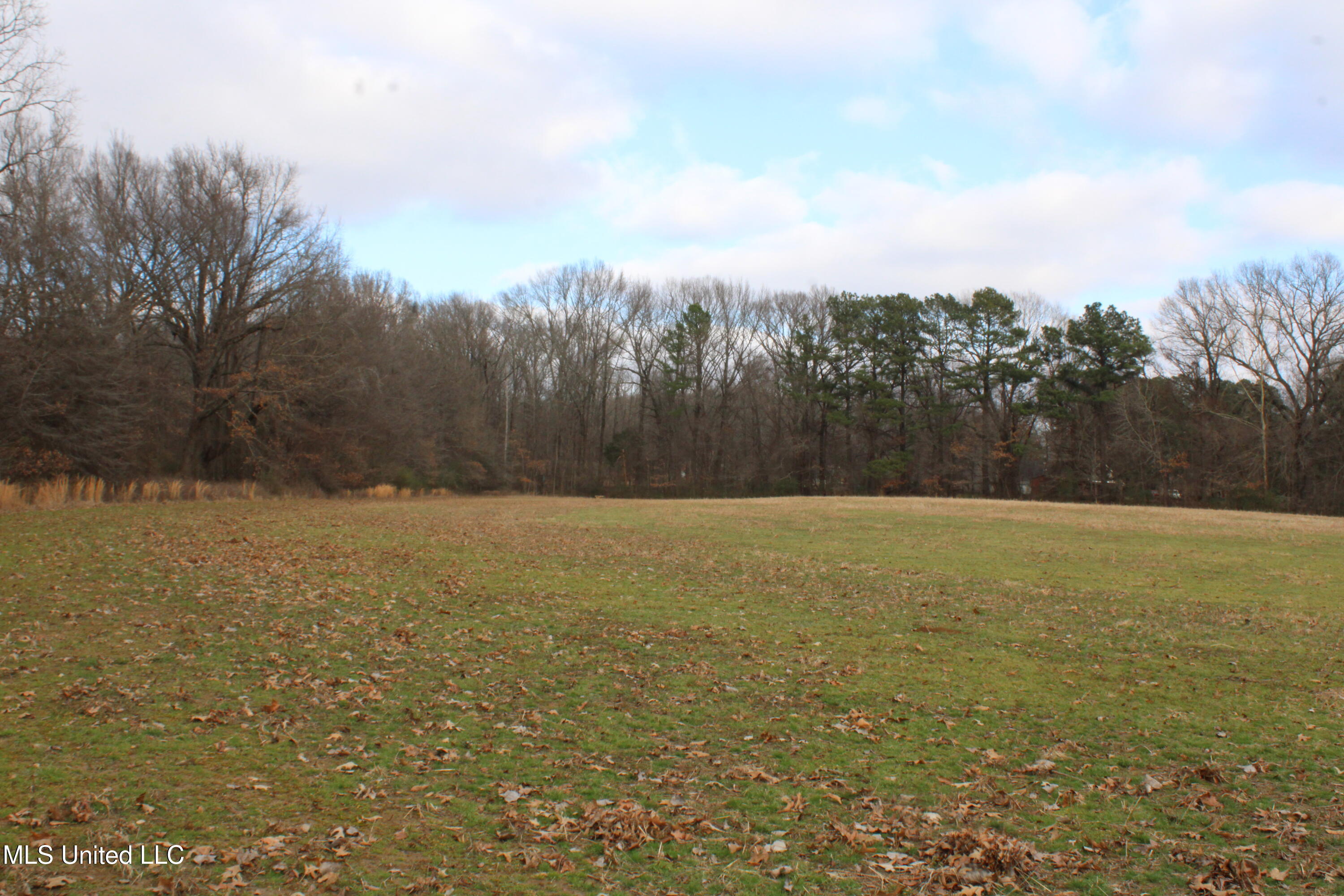 2001 West Oak Grove Road Hernando, MS 38632 - Photo 31 of 44 IMG_5422