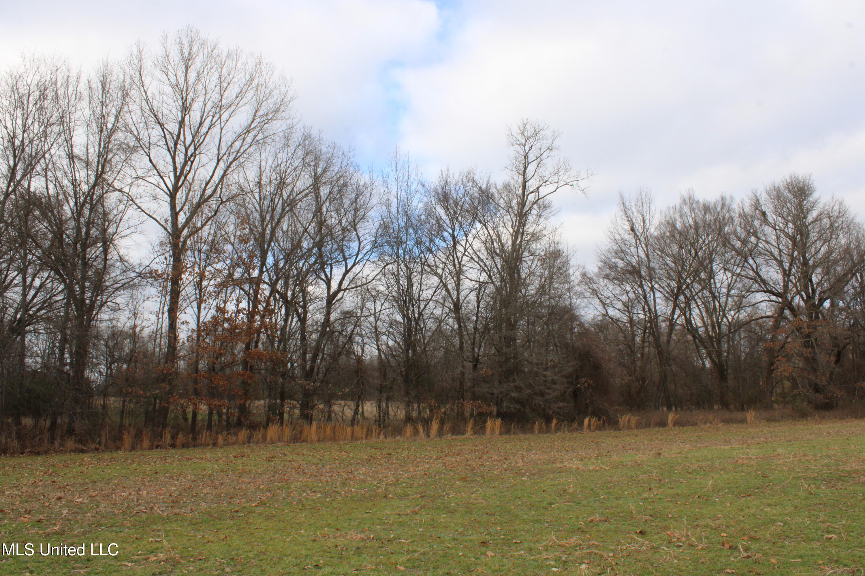 2001 West Oak Grove Road Hernando, MS 38632 - Photo 32 of 44 IMG_5423