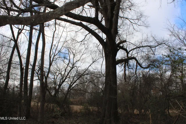 $665,000 | 2001 West Oak Grove Road, Hernando, MS 38632