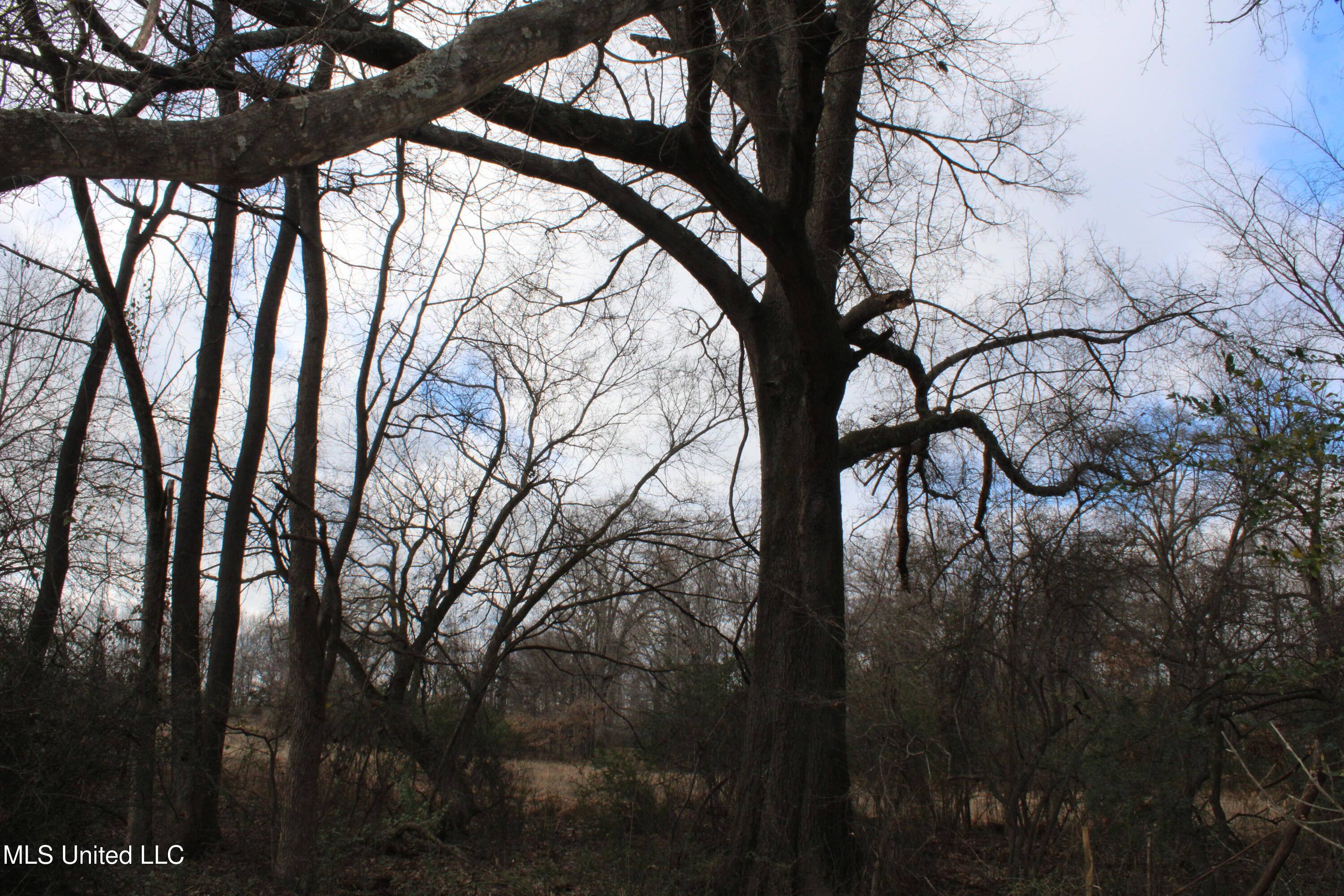 2001 West Oak Grove Road Hernando, MS 38632 - Photo 36 of 44 IMG_5427