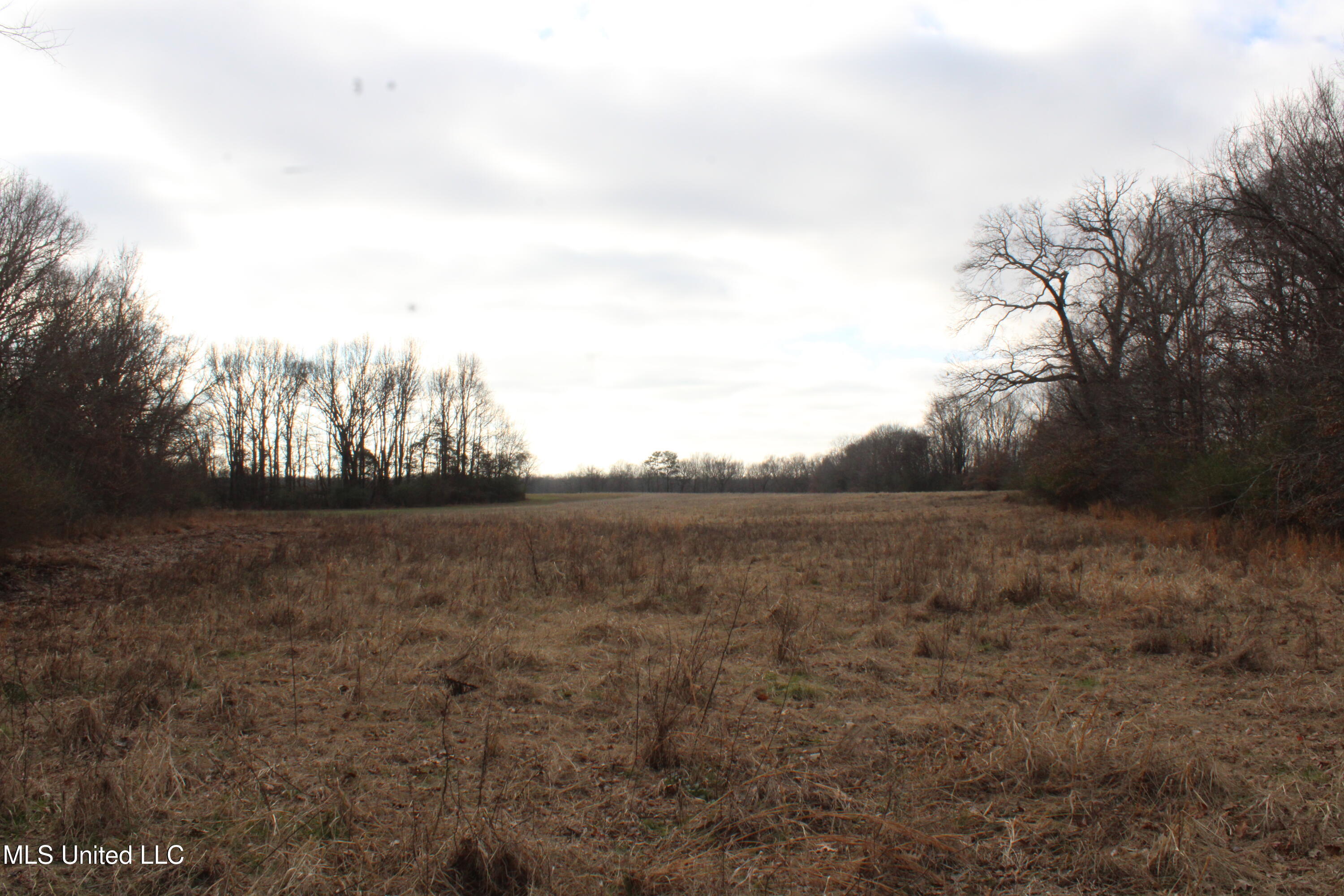 2001 West Oak Grove Road Hernando, MS 38632 - Photo 37 of 44 IMG_5428