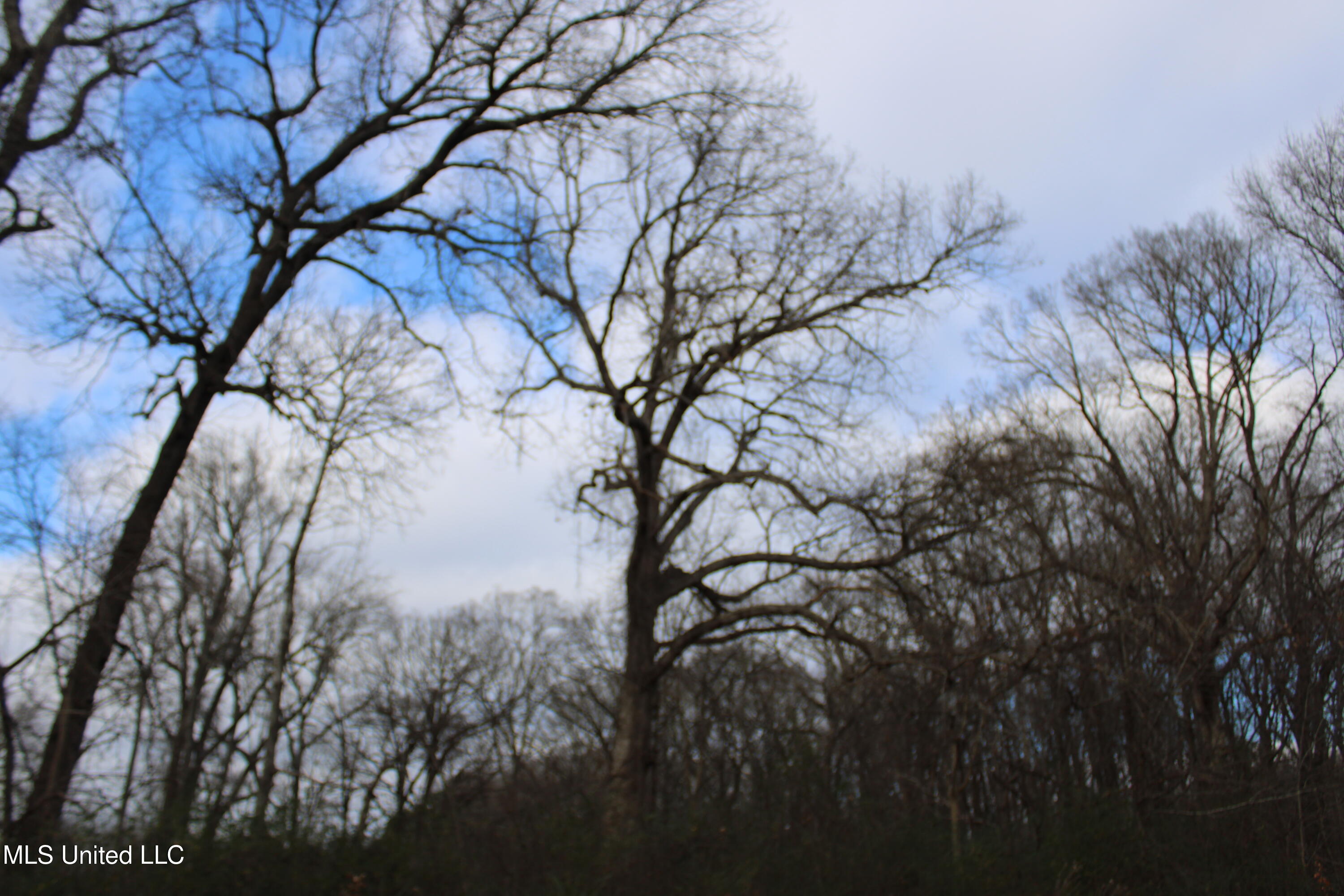 2001 West Oak Grove Road Hernando, MS 38632 - Photo 38 of 44 IMG_5429