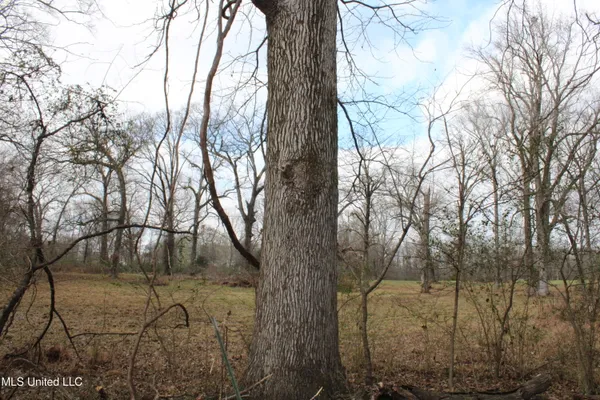 $665,000 | 2001 West Oak Grove Road, Hernando, MS 38632