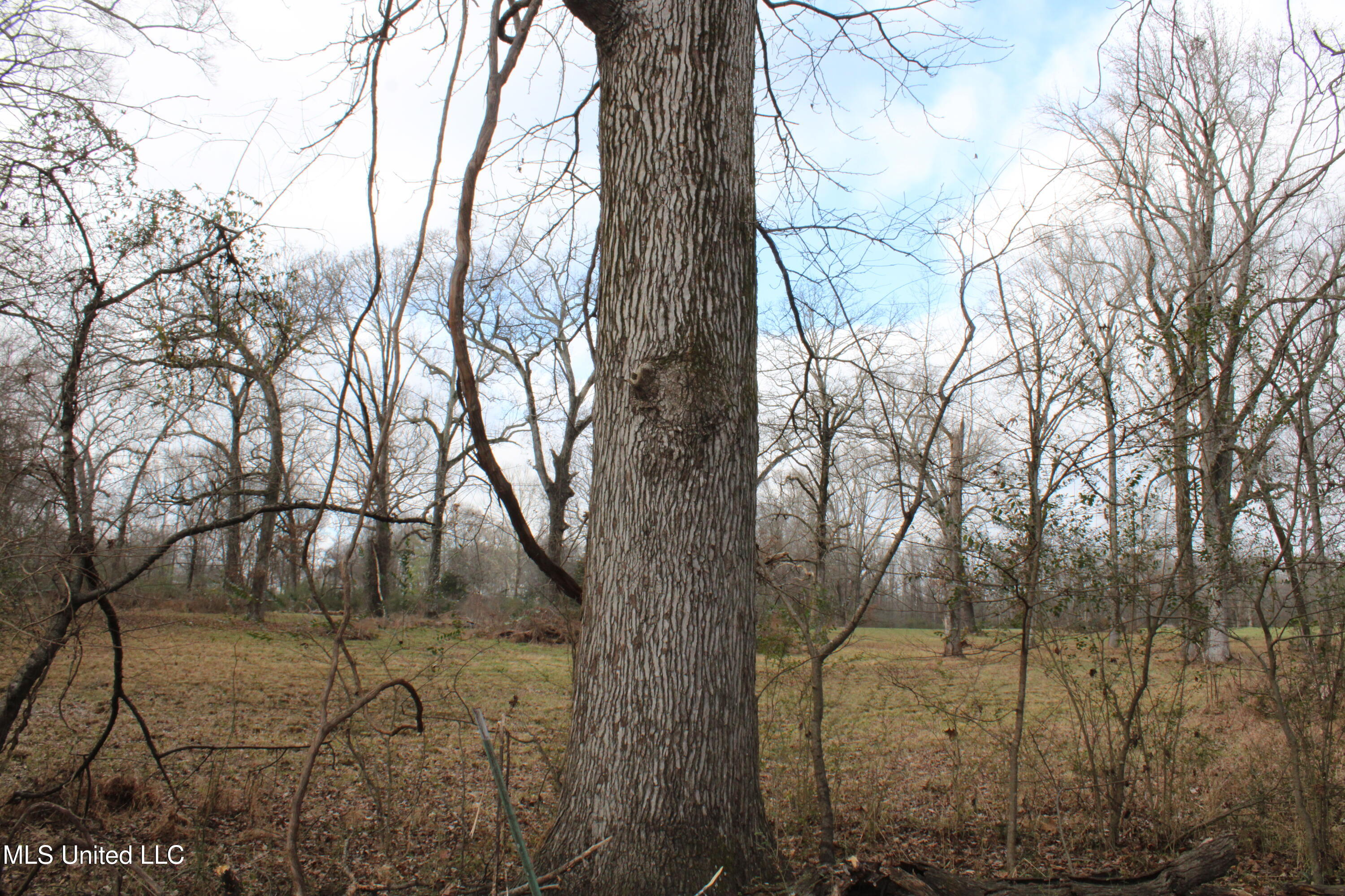 2001 West Oak Grove Road Hernando, MS 38632 - Photo 39 of 44 IMG_5430
