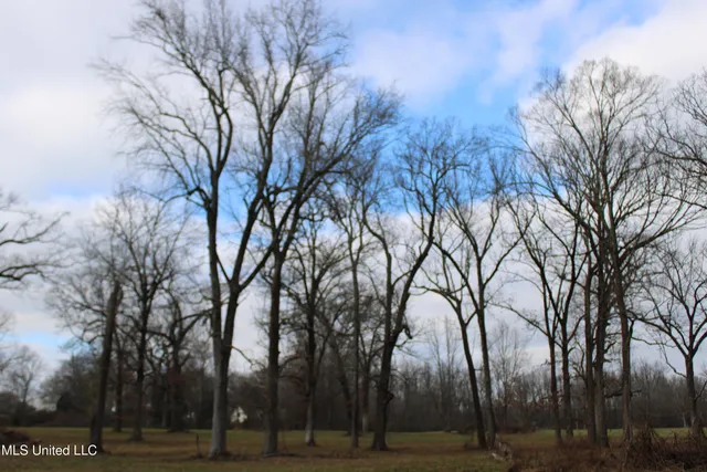 $665,000 | 2001 West Oak Grove Road, Hernando, MS 38632