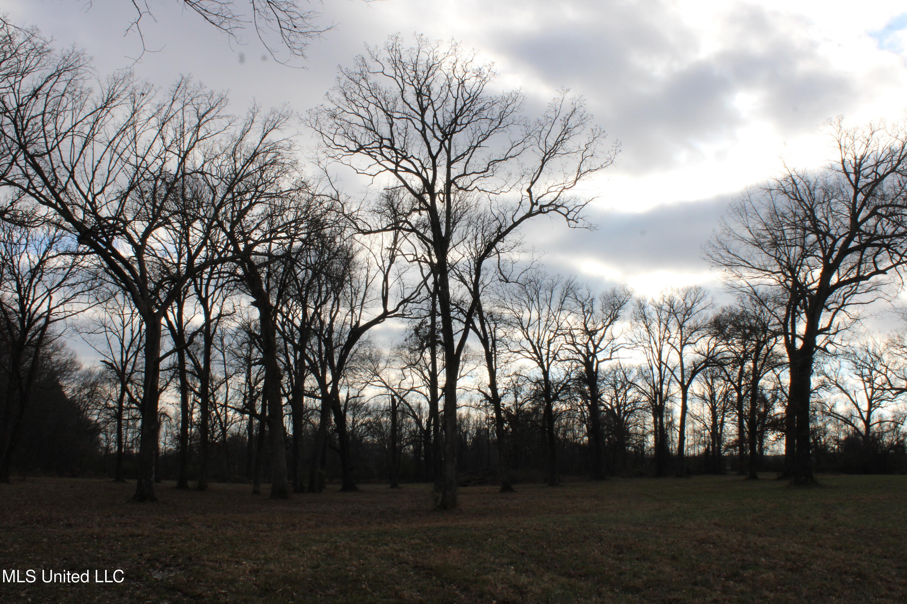 2001 West Oak Grove Road Hernando, MS 38632 - Photo 42 of 44 IMG_5433