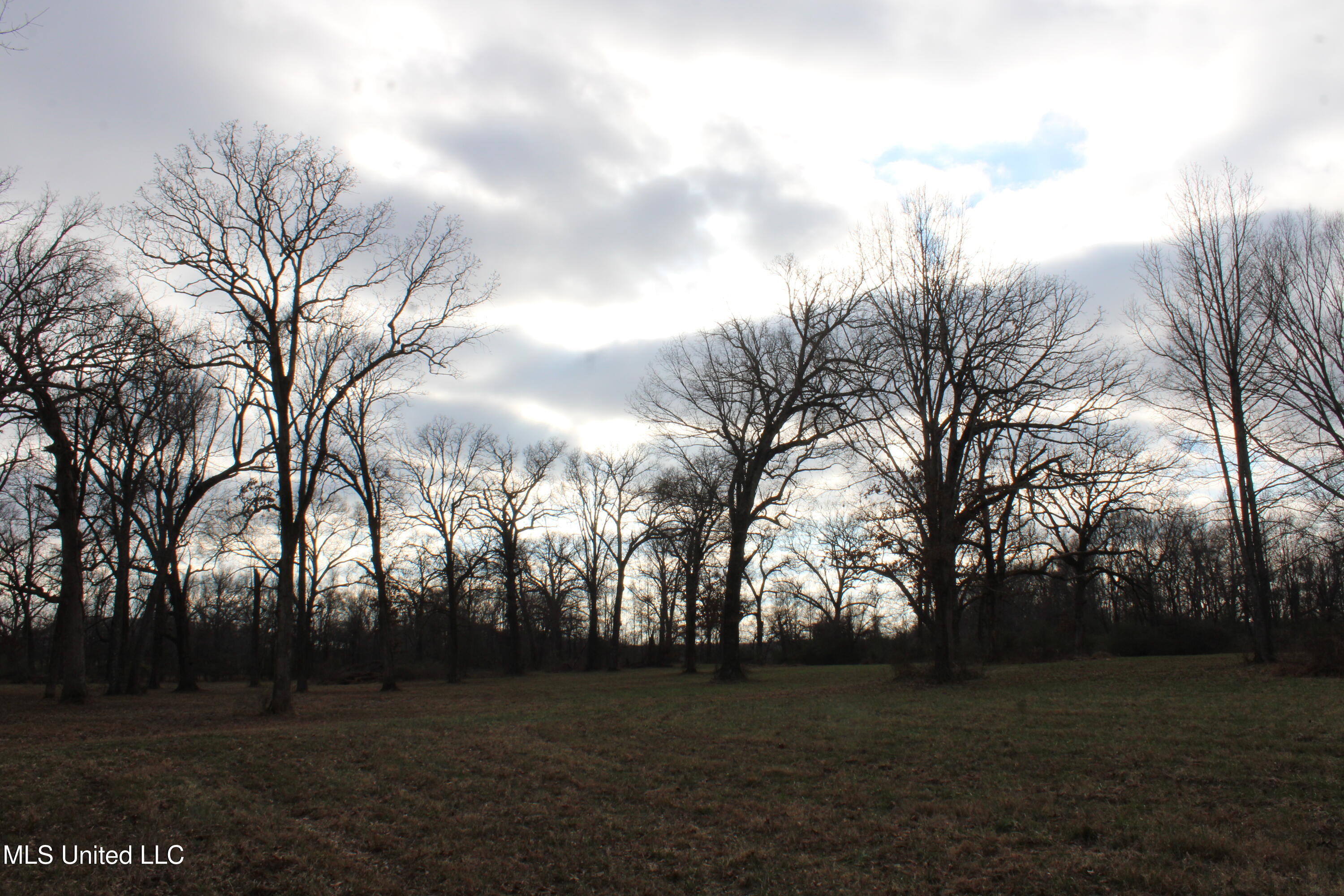 2001 West Oak Grove Road Hernando, MS 38632 - Photo 43 of 44 IMG_5434