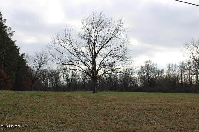 $665,000 | 2001 West Oak Grove Road, Hernando, MS 38632