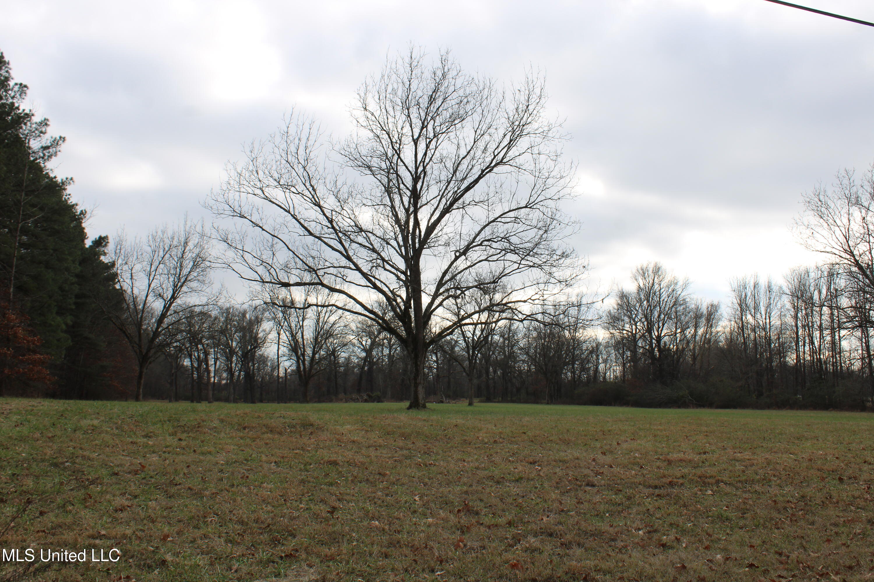 2001 West Oak Grove Road Hernando, MS 38632 - Photo 5 of 44 IMG_5394