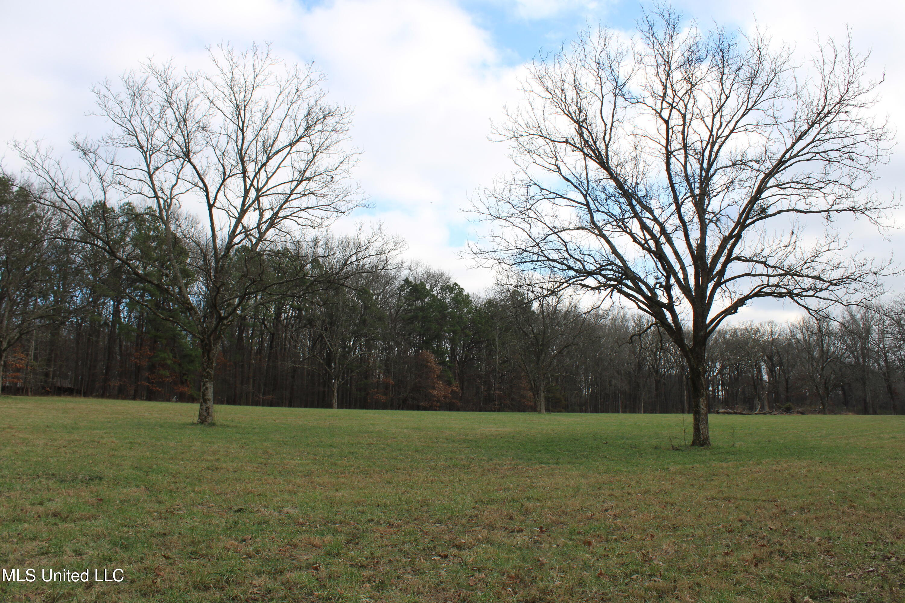 2001 West Oak Grove Road Hernando, MS 38632 - Photo 9 of 44 IMG_5398