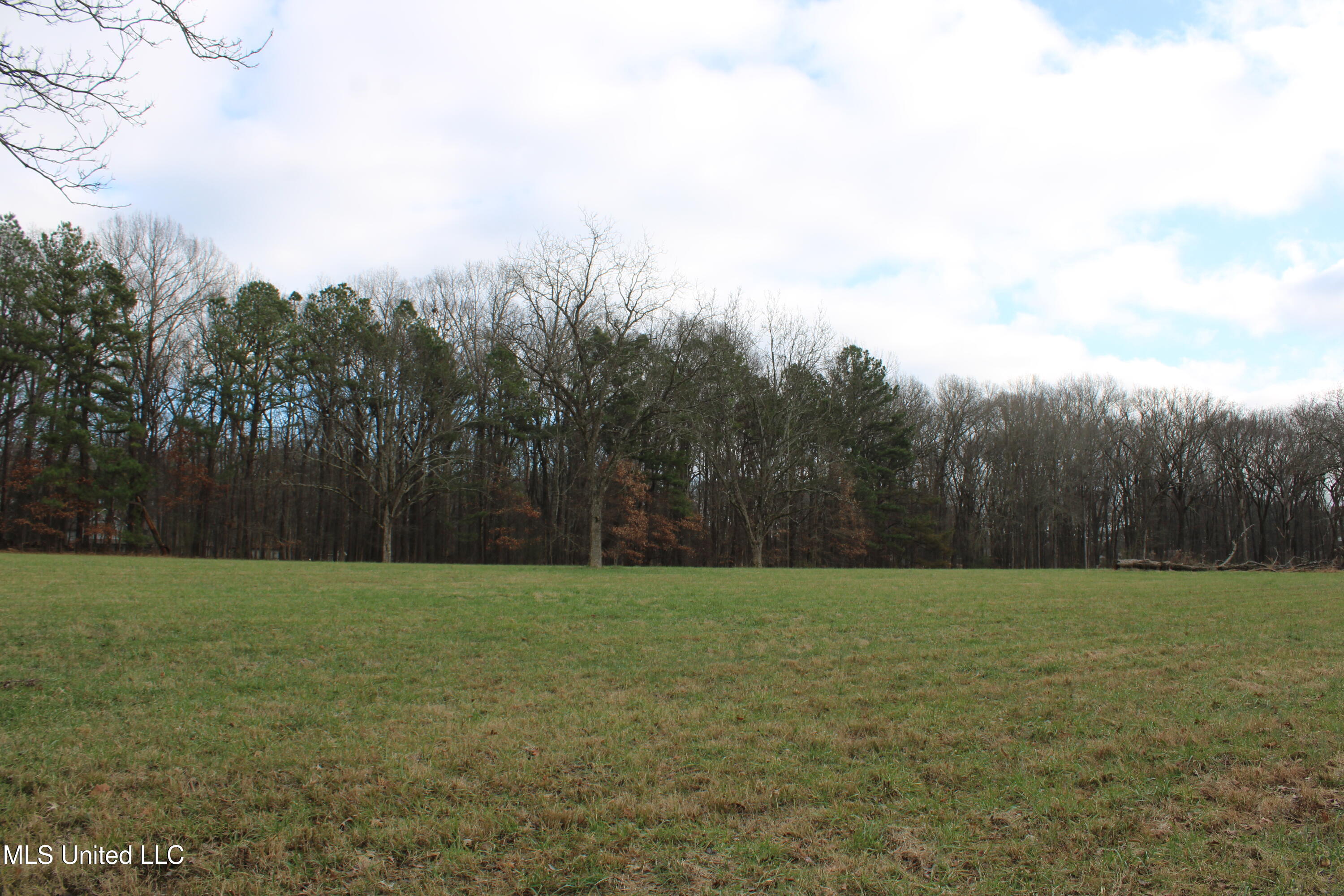 2001 West Oak Grove Road Hernando, MS 38632 - Photo 10 of 44 IMG_5399