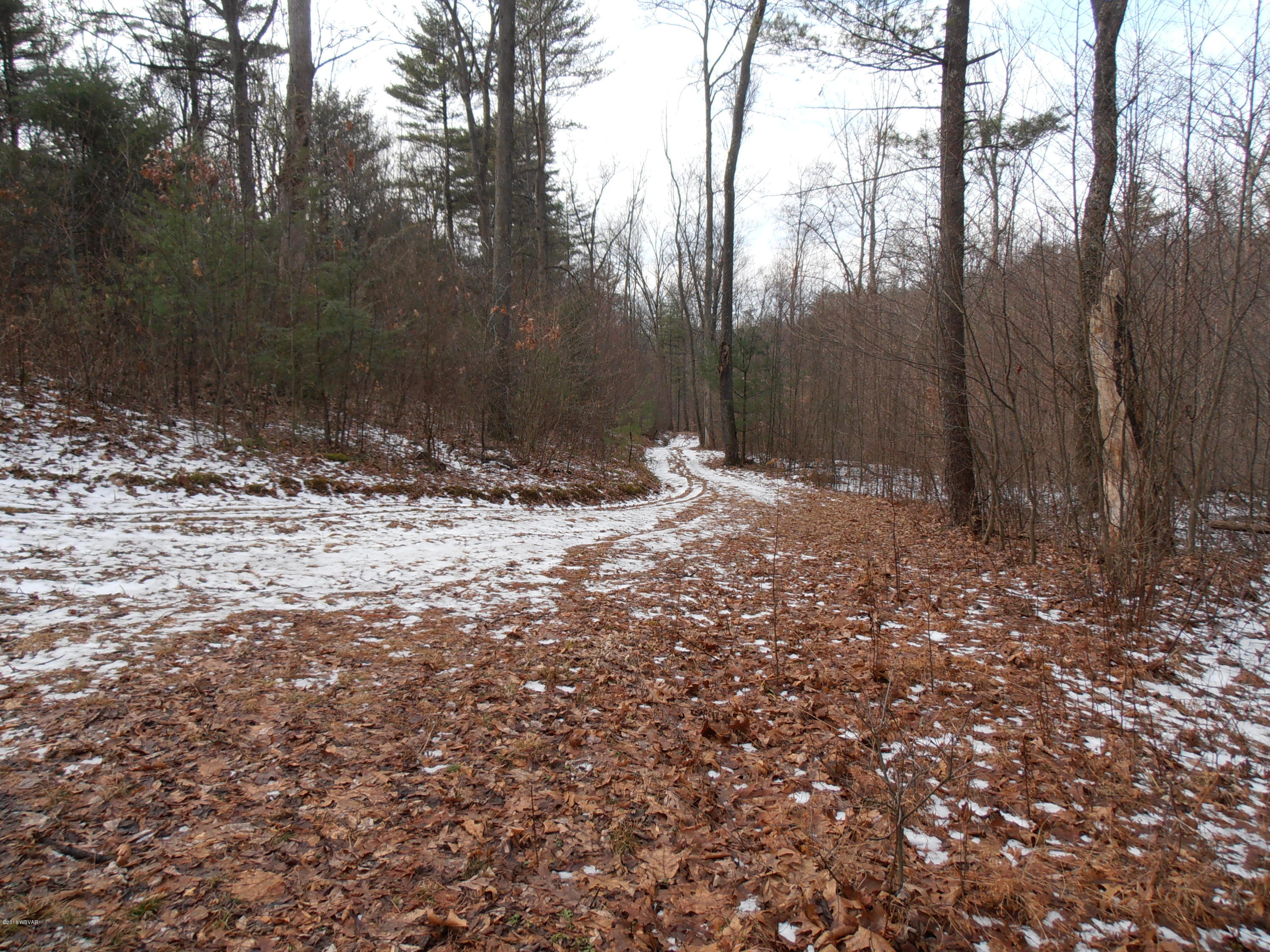 504 Furnace Run Road Jersey Shore, PA 17740 - Photo 33 of 36 PATCH PHOTOS 021