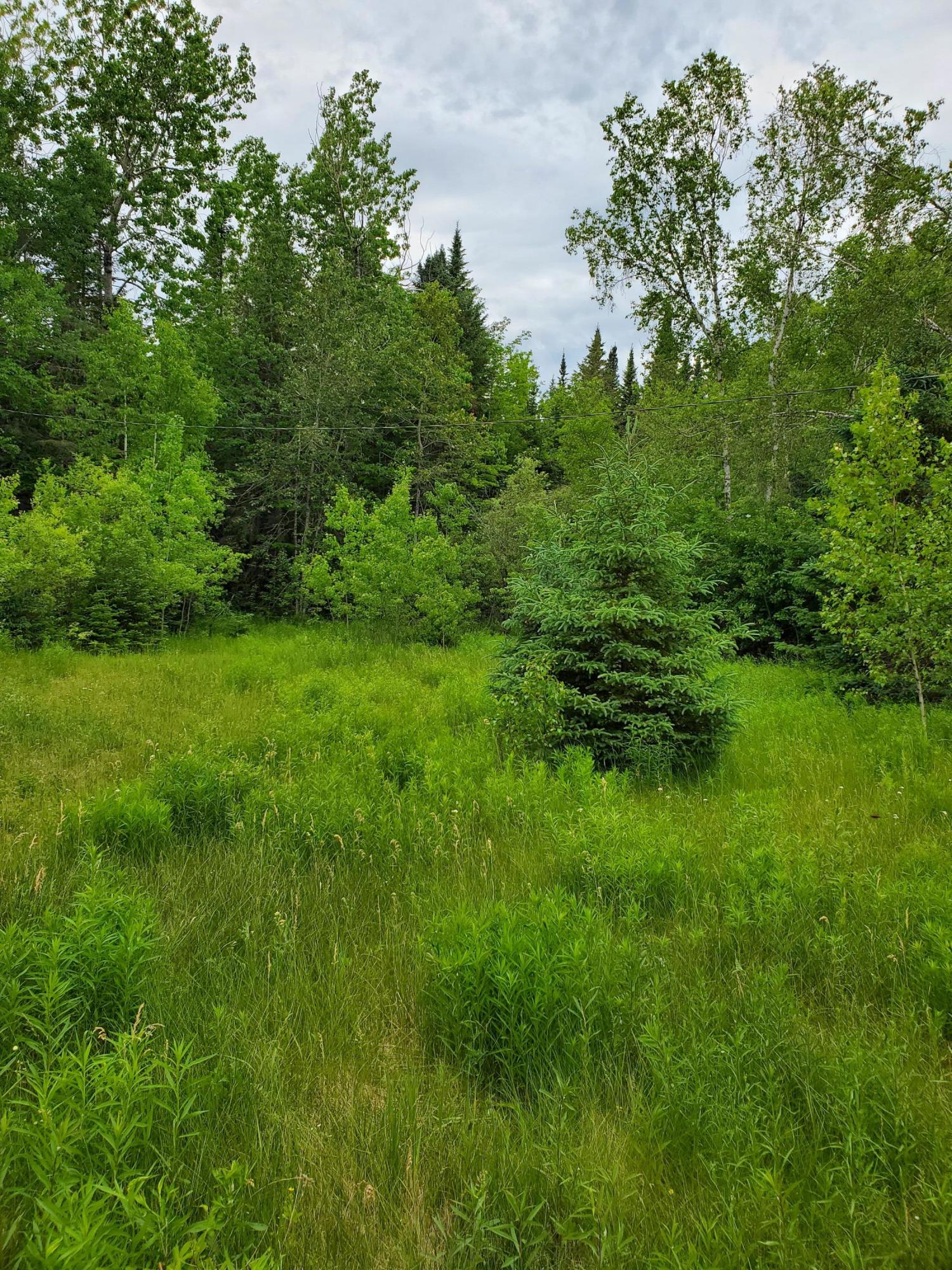 2291 Bancroft Road Wytopitlock, ME 04497 - Photo 8 of 14 20210614_151011