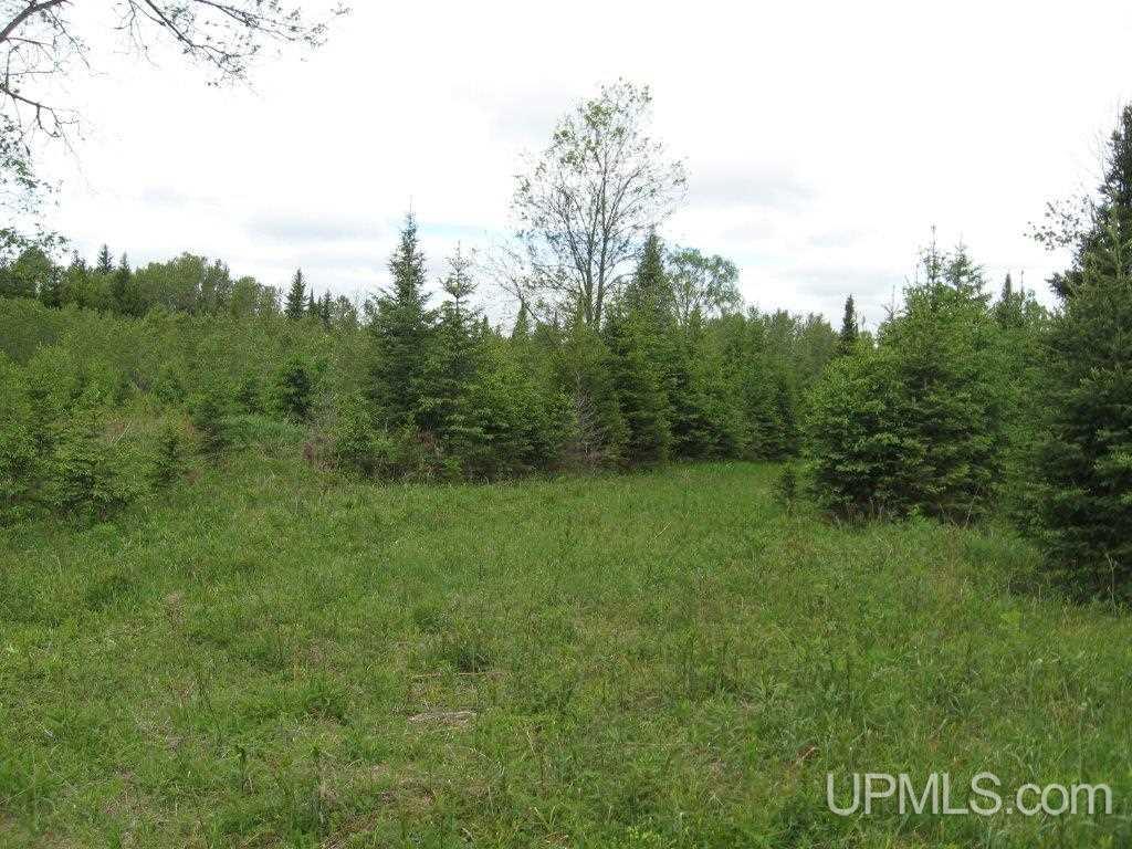 Tbd Co Rd H26 Rock, MI 49880 - Photo 15 of 17