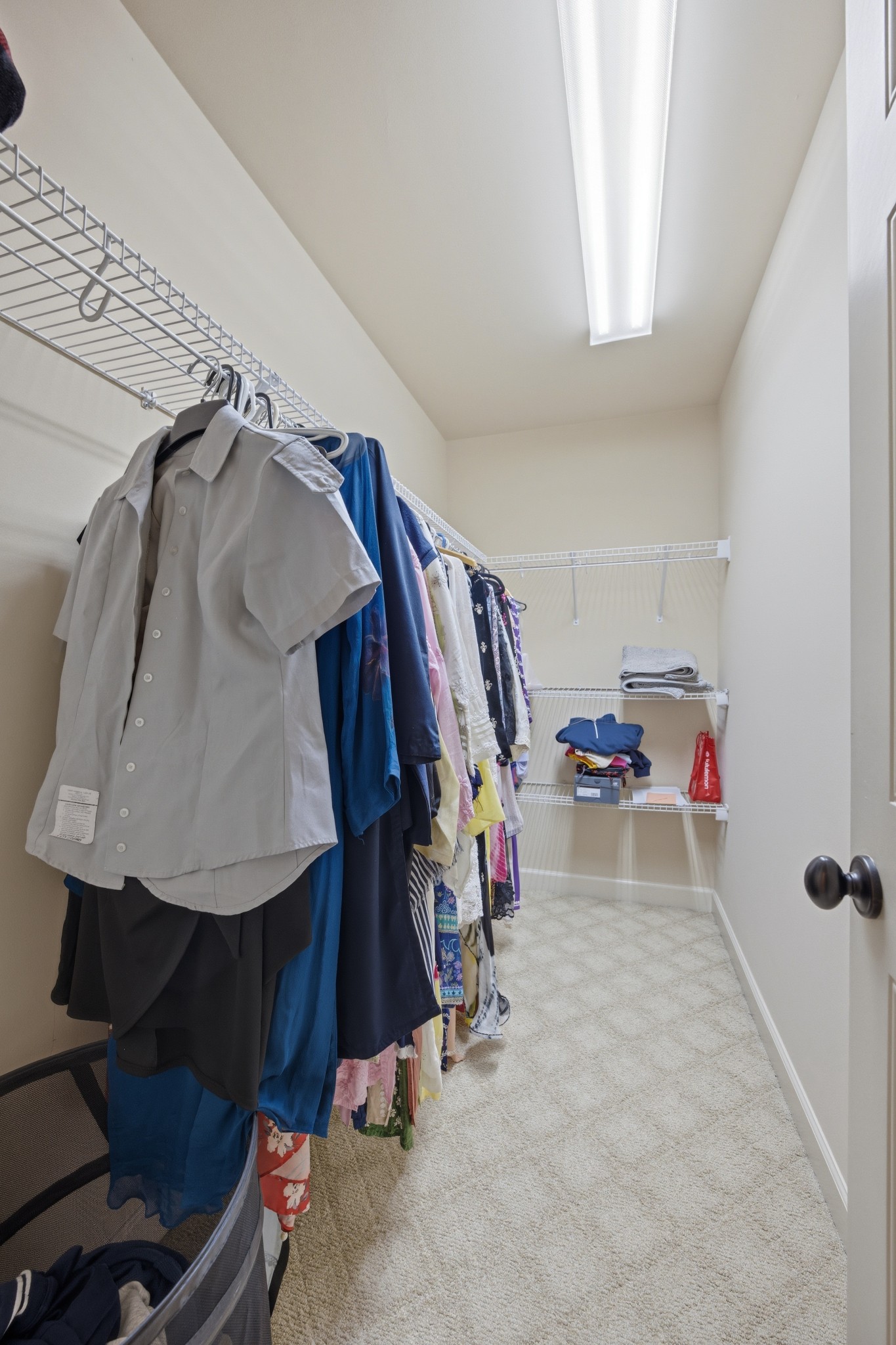 319 Hamlets End Way Franklin, TN 37067 - Photo 35 of 54 a view of walk in closet with clothes and shoes