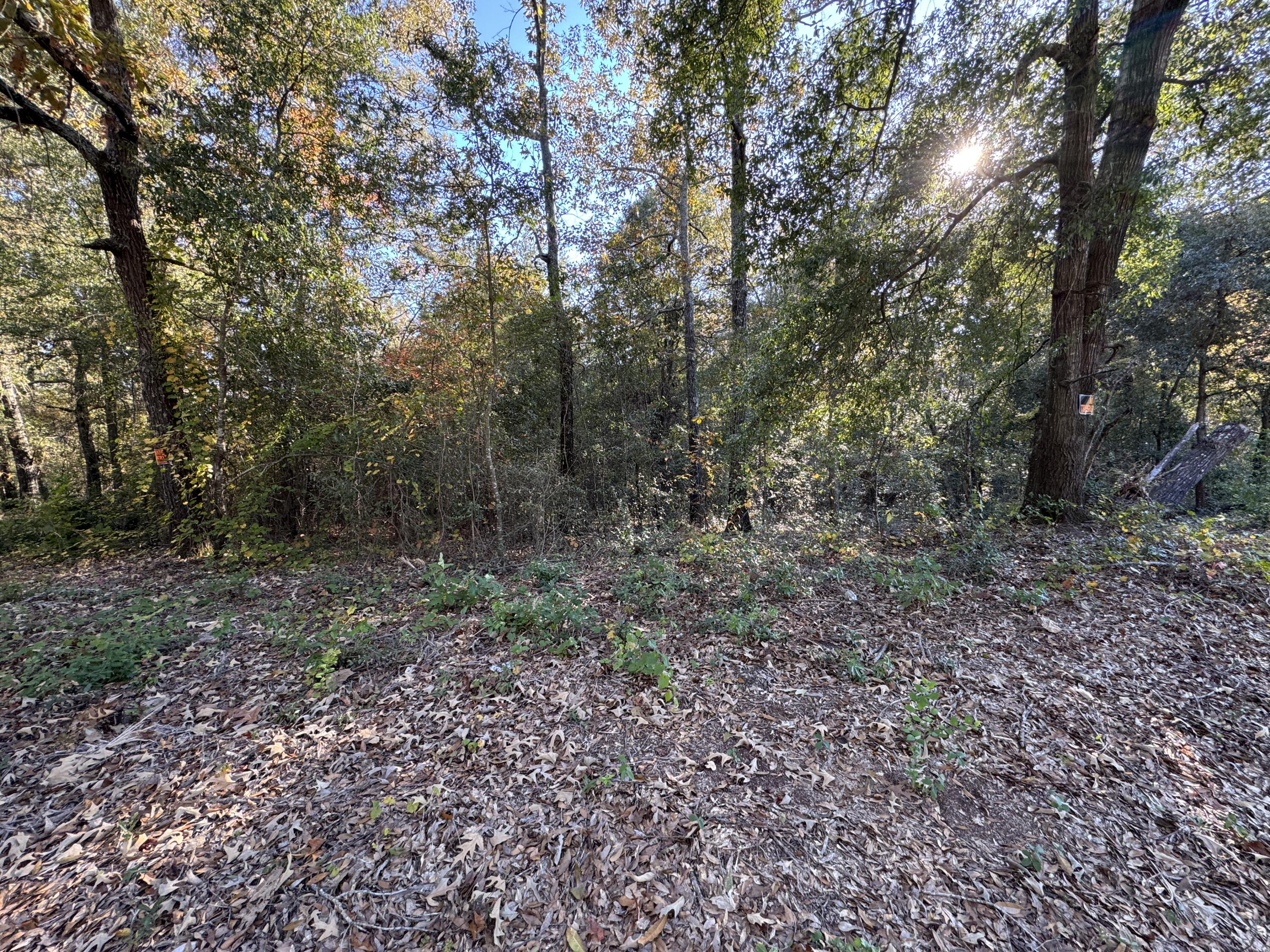 Lot #1 Charles Street Jackson, SC 29831 - Photo 5 of 12