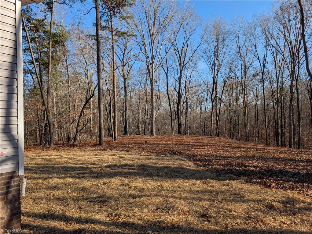 160 Tabernacle Church Road Trinity, NC 27370 - Photo 9 of 25 Gallery Image 9