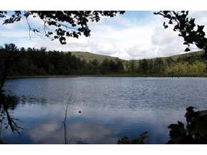 579 Wilton Road Peterborough, NH 03458 - Photo 5 of 5