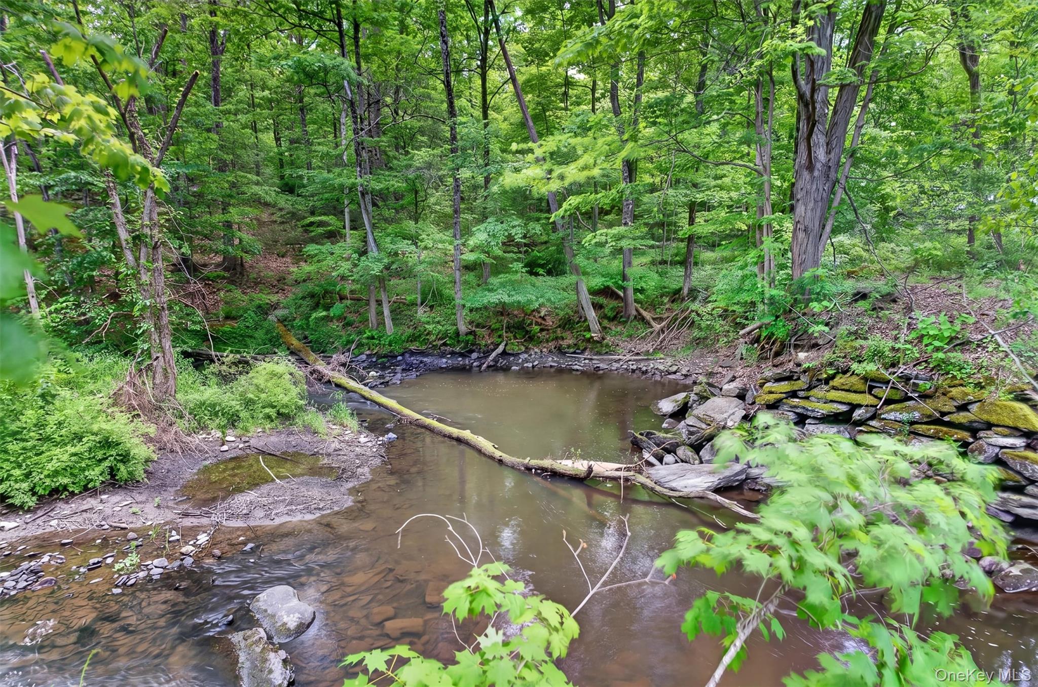 815 Craigville Road Chester, NY 10918 - Photo 49 of 50