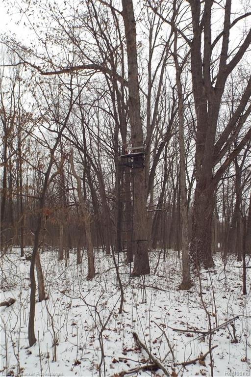 Eight West Eight Mile Road South Lyon, MI 48178 - Photo 38 of 58